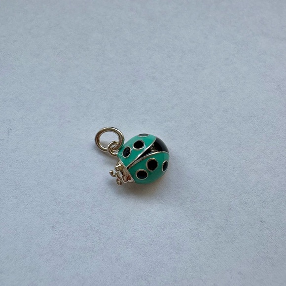 Tiffany & Co. Jewelry - Tiffany and Co. Ladybug Charm